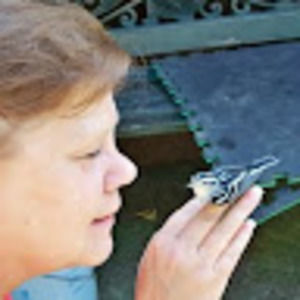 Meet your Posher, Elena